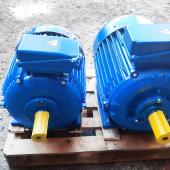 Электродвигатель 4АМУ180М4