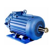 Электродвигатель крановый AMTKF 132LB6