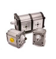 Гидронасос Caproni 10A3.65X302