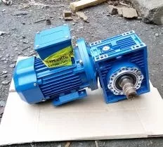 Червячный мотор редуктор NMRV 063.50.28.0.25x1400.B3.SS1 фото