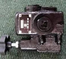 Гидроклапан предохранительный 10-20-1-11 фото